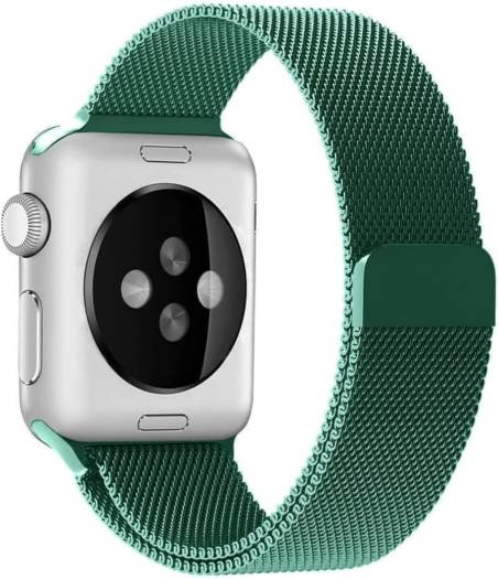 Apple Stainless Band