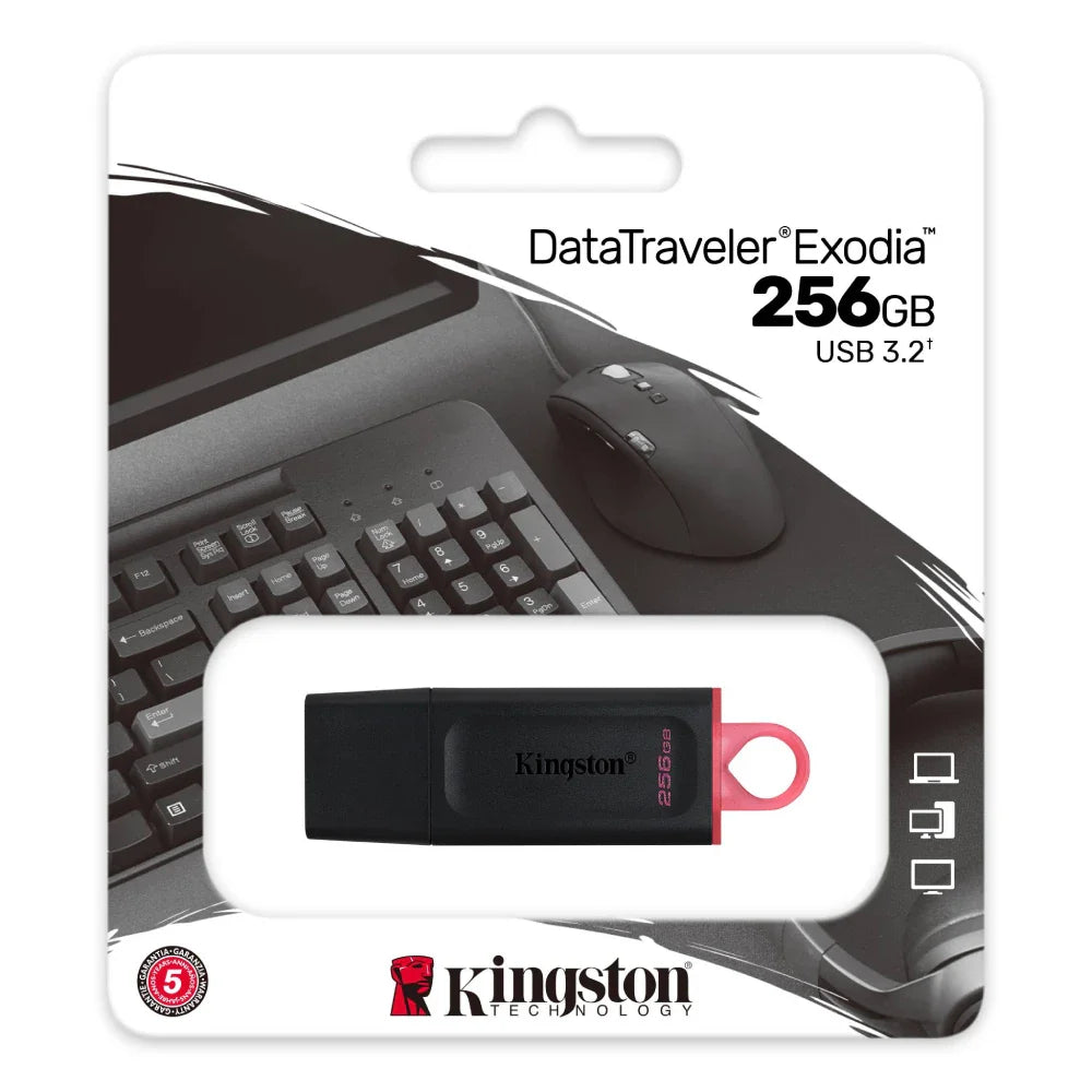Compact Kingston DataTraveler Exodia USB drive