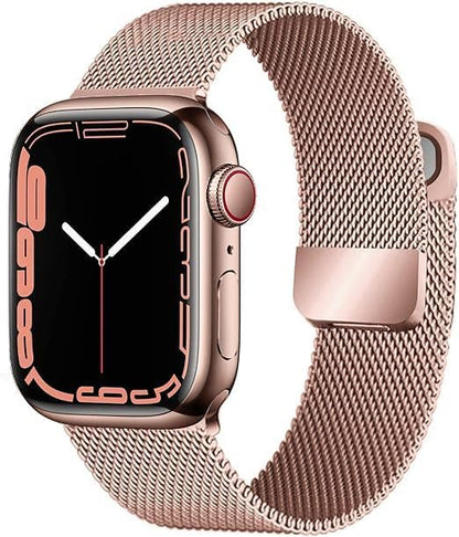 Apple Stainless Band