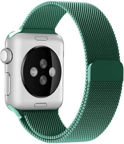 Apple Stainless Band