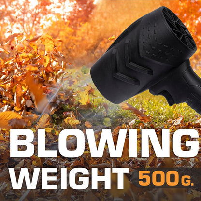 Portable Dust Cleaner 48V | 2 Batteries Included, High-Power Handheld Vacuum