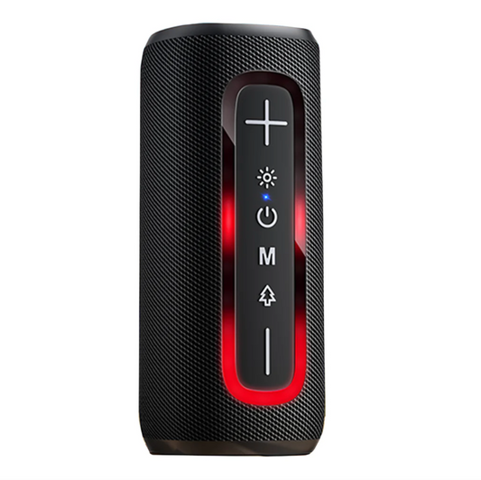 Wireless Sports Speaker HOCO HC36