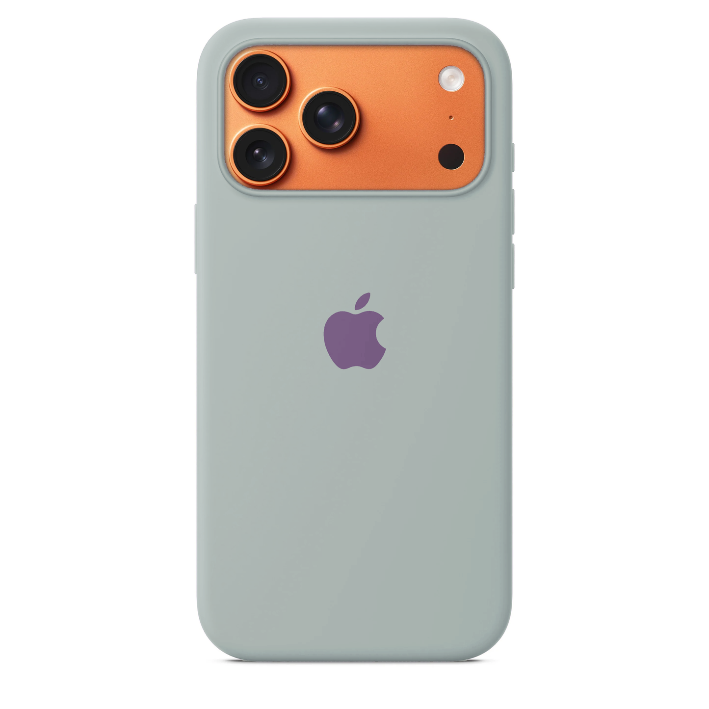 iPhone 17 Air Silicone Case