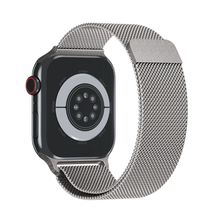 Apple Stainless Band