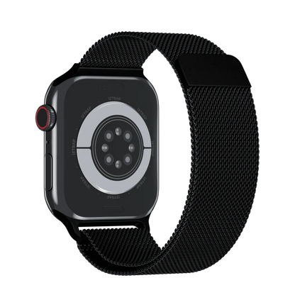 Apple Stainless Band