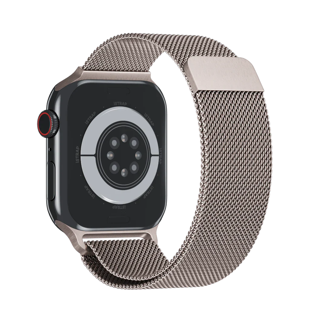 Apple Stainless Band