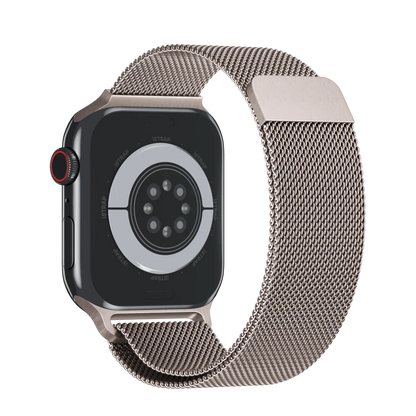 Apple Stainless Band