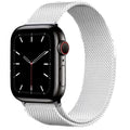 Apple Stainless Band