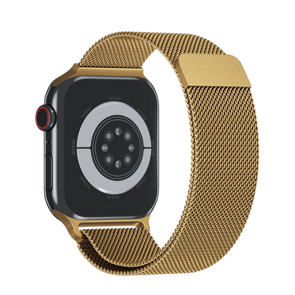 Apple Stainless Band